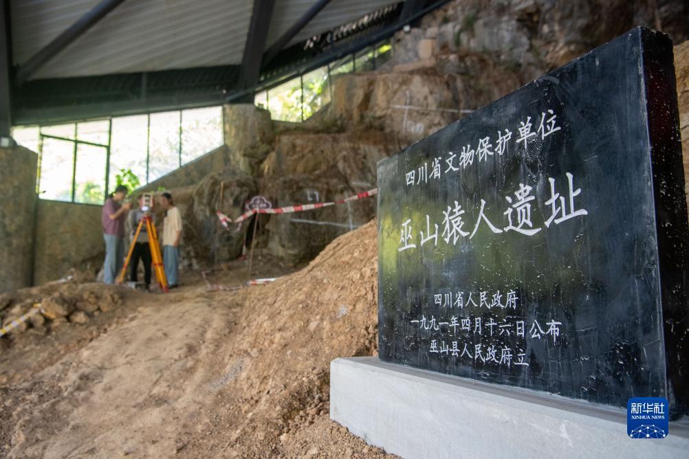 网络巴黎什么意思
